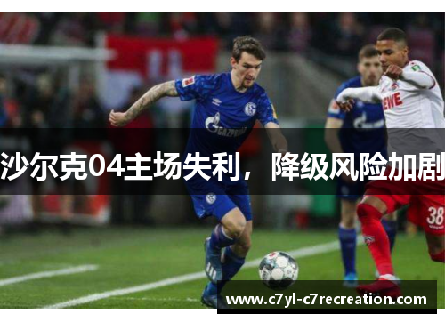 沙尔克04主场失利，降级风险加剧